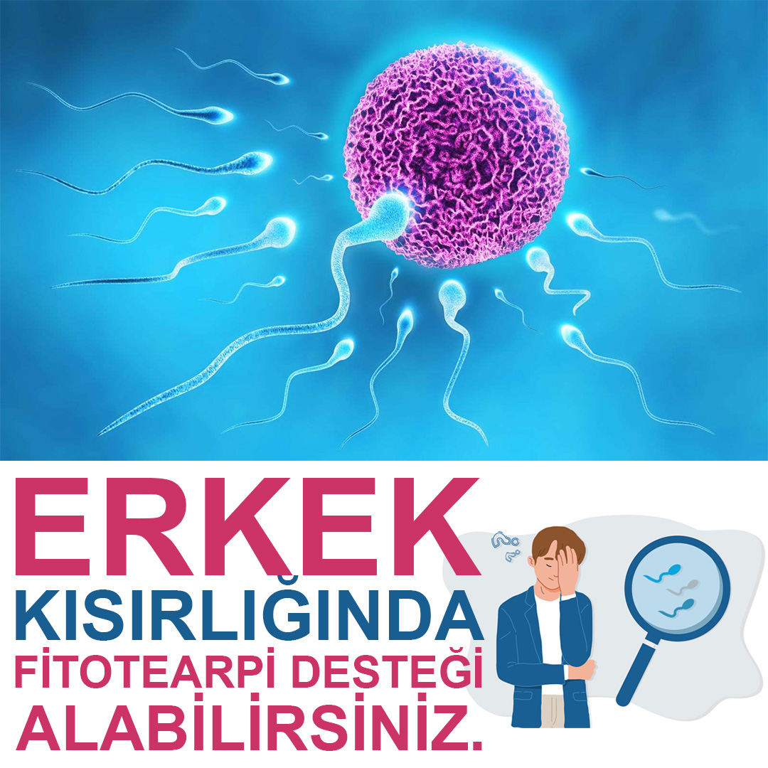 Dr. Hakan Özkul Kısırlık Tedavisi